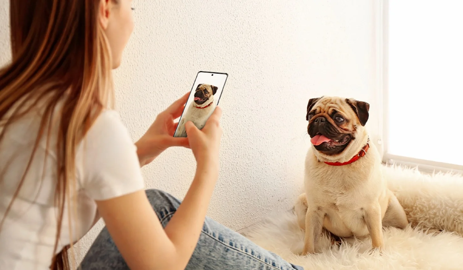 Toma mejores fotos a tu mascota con tu smartphone